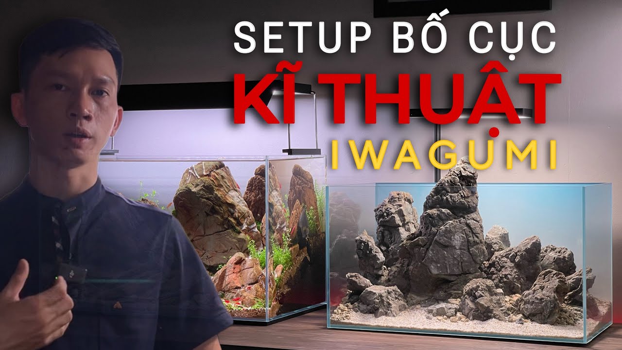 Chia Sẻ Kinh Nghiệm Setup Hồ Thuỷ Sinh | KĨ THUẬT XẾP ĐÁ PHONG CÁCH ‘IWAGUMI STYLE’
