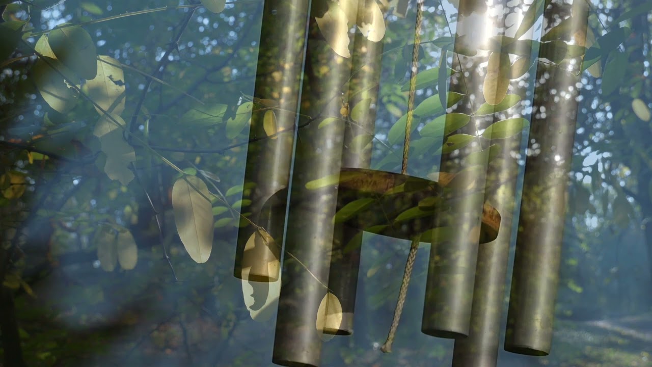 Ambient Violin Music Therapy - Soundscape #10 - Wind Chimes - 10 min
