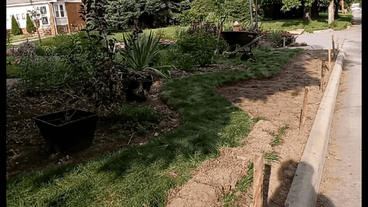 How to Make a Mostly Native Plant Hellstrip Garden. Part 1 of 3