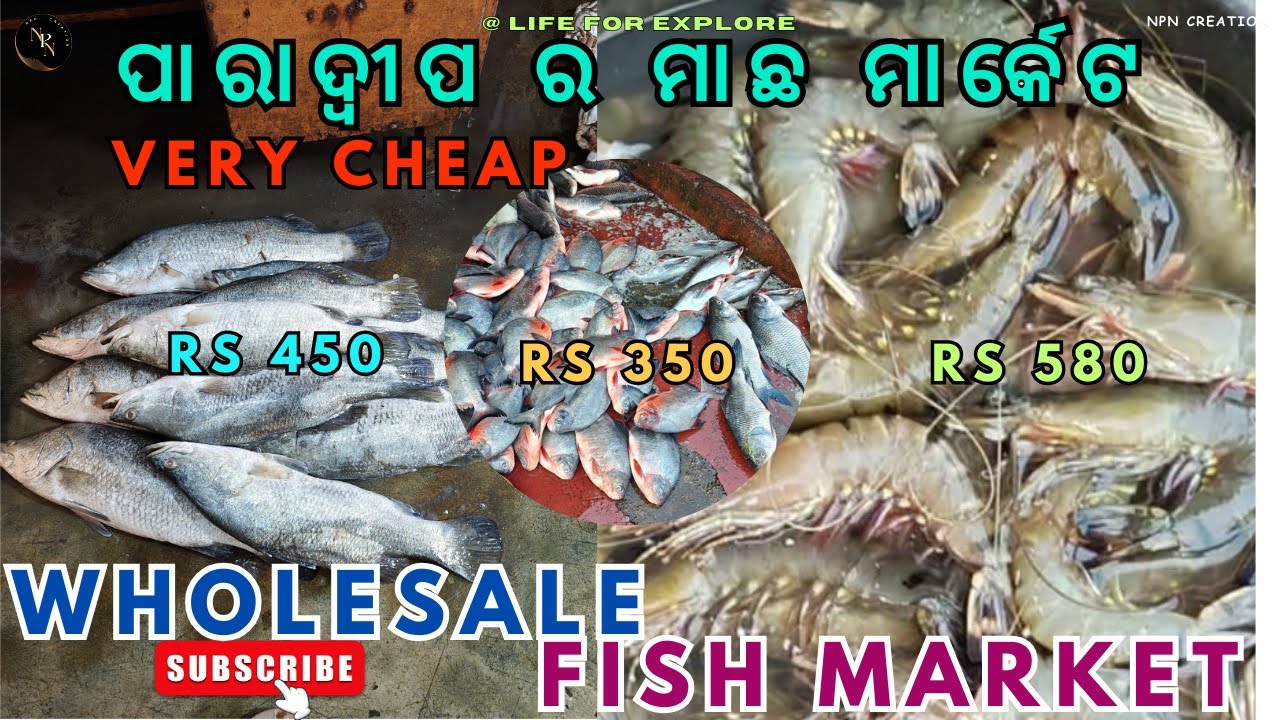 Paradip Fish market🦐🐟|wholesale market|ପାରାଦ୍ଵୀପ ମାଛ ମାର୍କେଟ|odia vlog #travel #vlog #odisha #fish