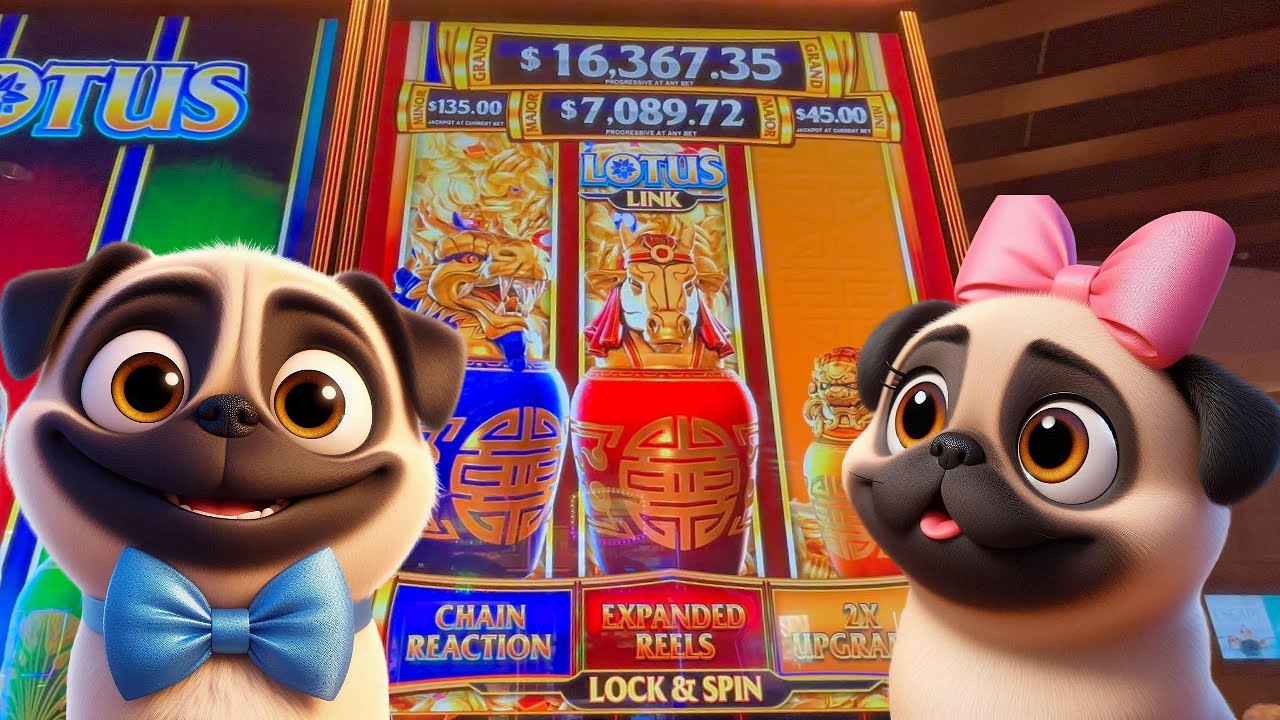 CHAIN REACTION!!! Lotus Link Spirit of Prosperity Slot Machine | Gambling Pugs