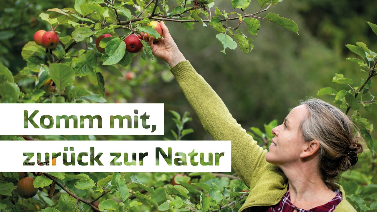 Voelkel erklärt | Die Streuobstwiese - Mitteleuropas artenreichstes Biotop