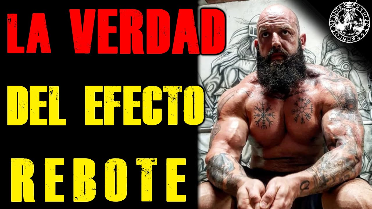 LA VERDAD DEL EFECTO REBOTE