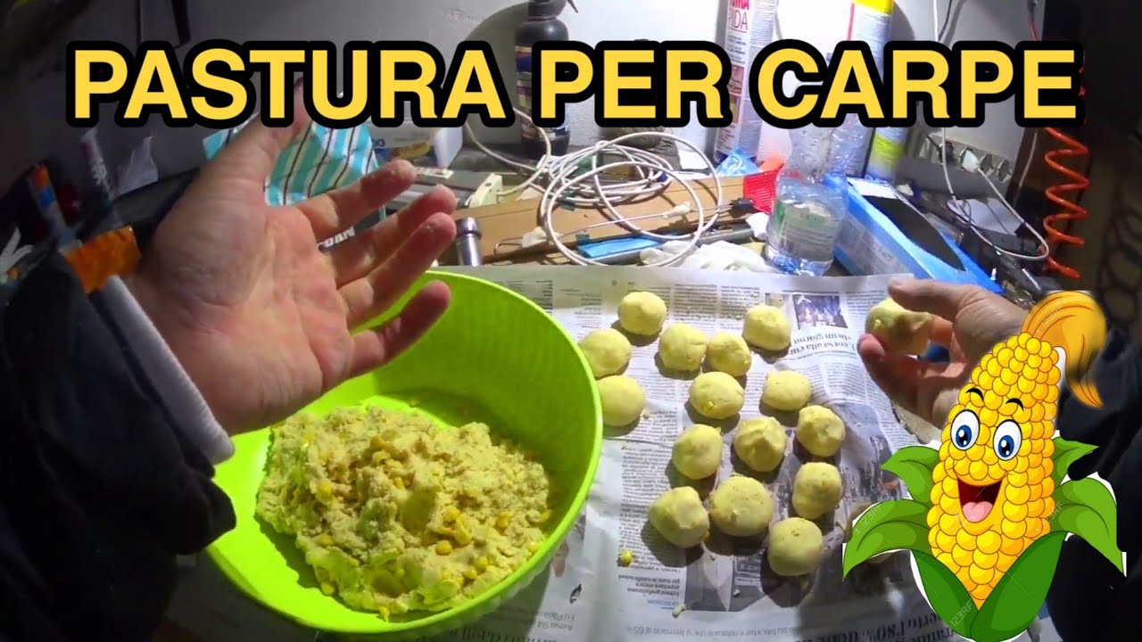 PASTURA PER CARPA - parte 1