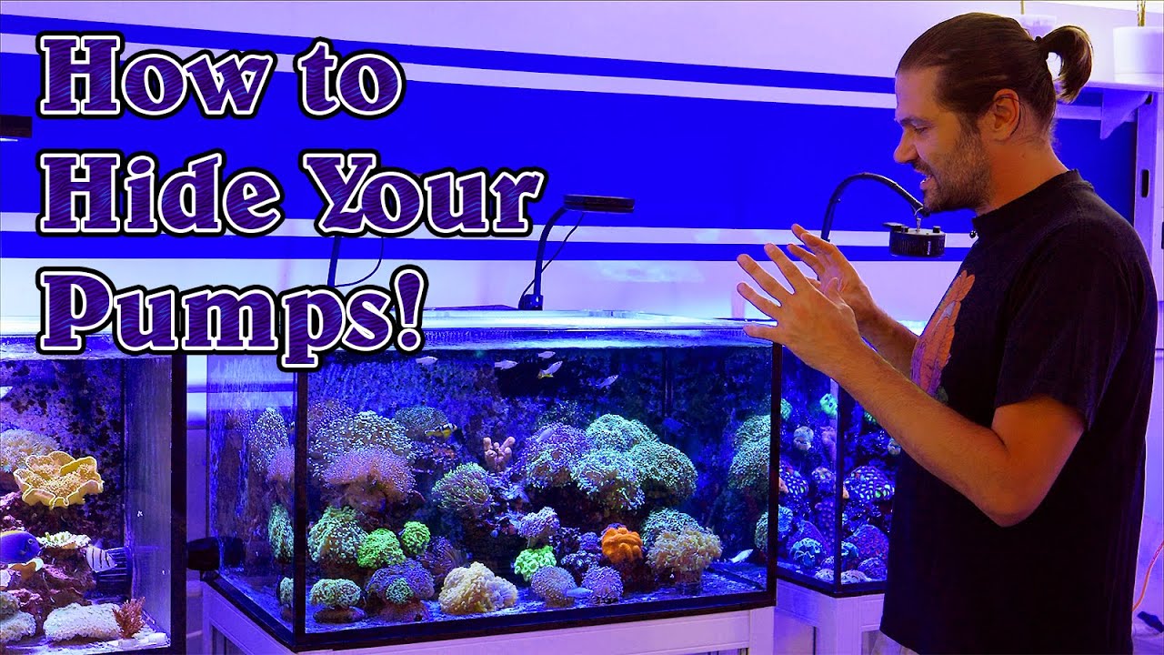 Tips for Hiding Flow Pumps Within Your Reef Tank