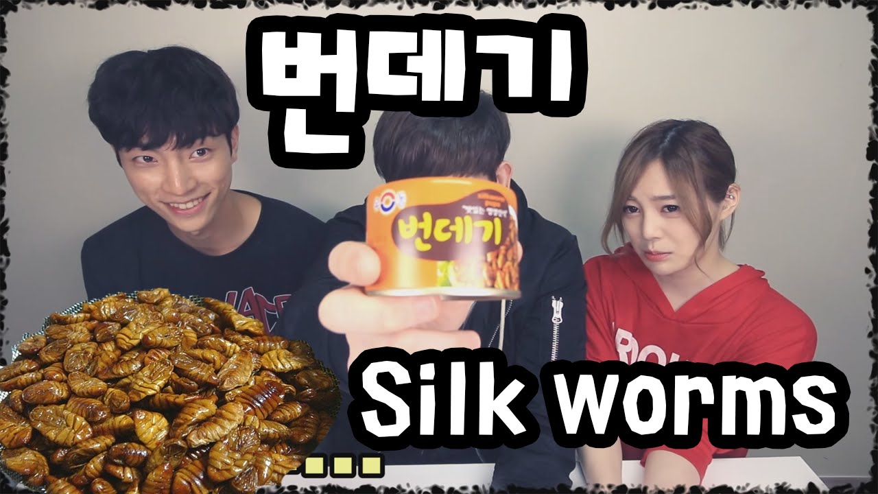 데이브 [번데기 먹어보기/먹방 WITH 한국인 호연 / 미국인 데이브 / 일본인 에리나] Foreigners trying out Korean Silk Worm Pupa