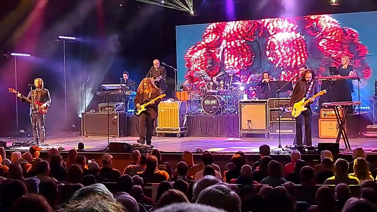 Black Jacket Symphony - Comfortably Numb