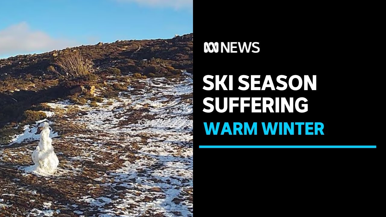 Ski fields hit hard as warm winter affects snowfalls, experts predicting worse to come | ABC News