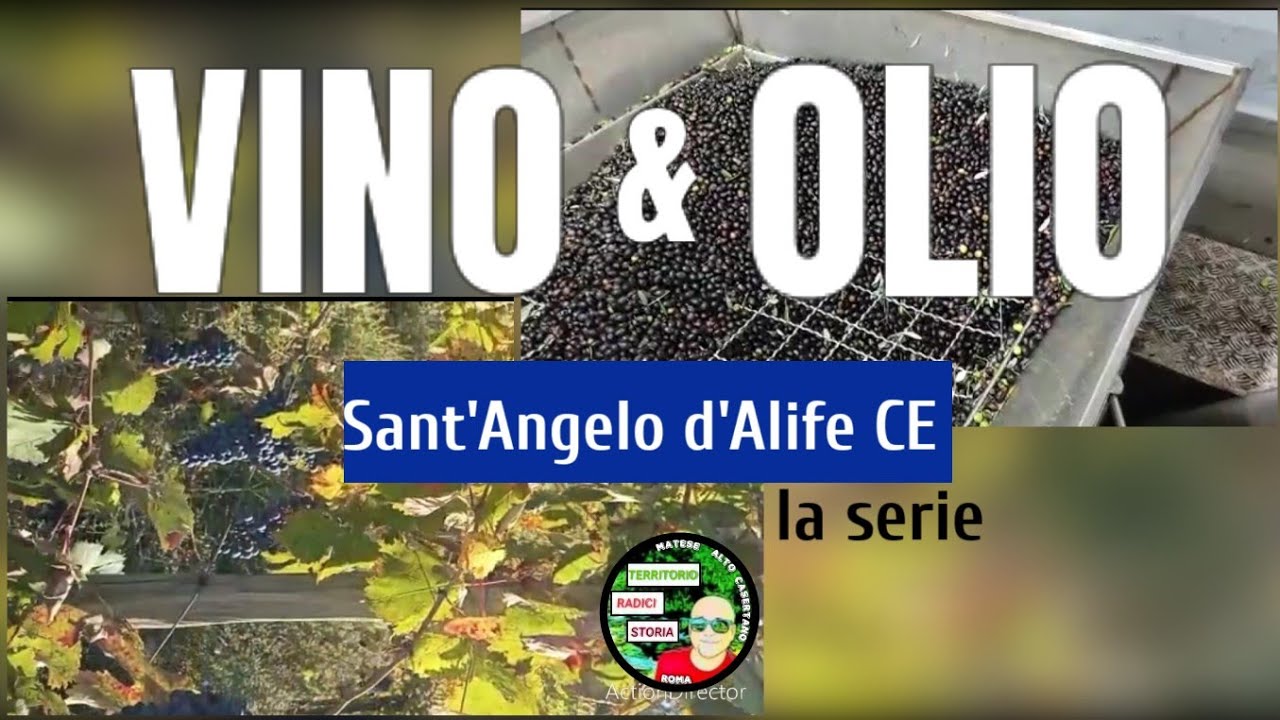Vino e olio Sant'Angelo d'Alife CE la serie