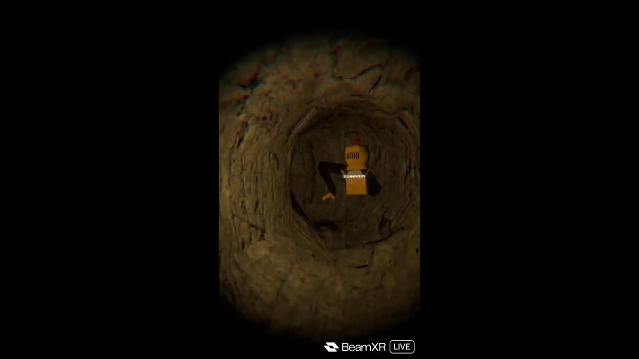playing og fun monkey horror