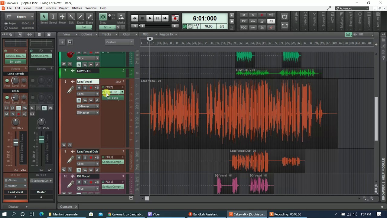 Plugin Alliance  Neold Big Al & Brainworx bx_opto on Vocals