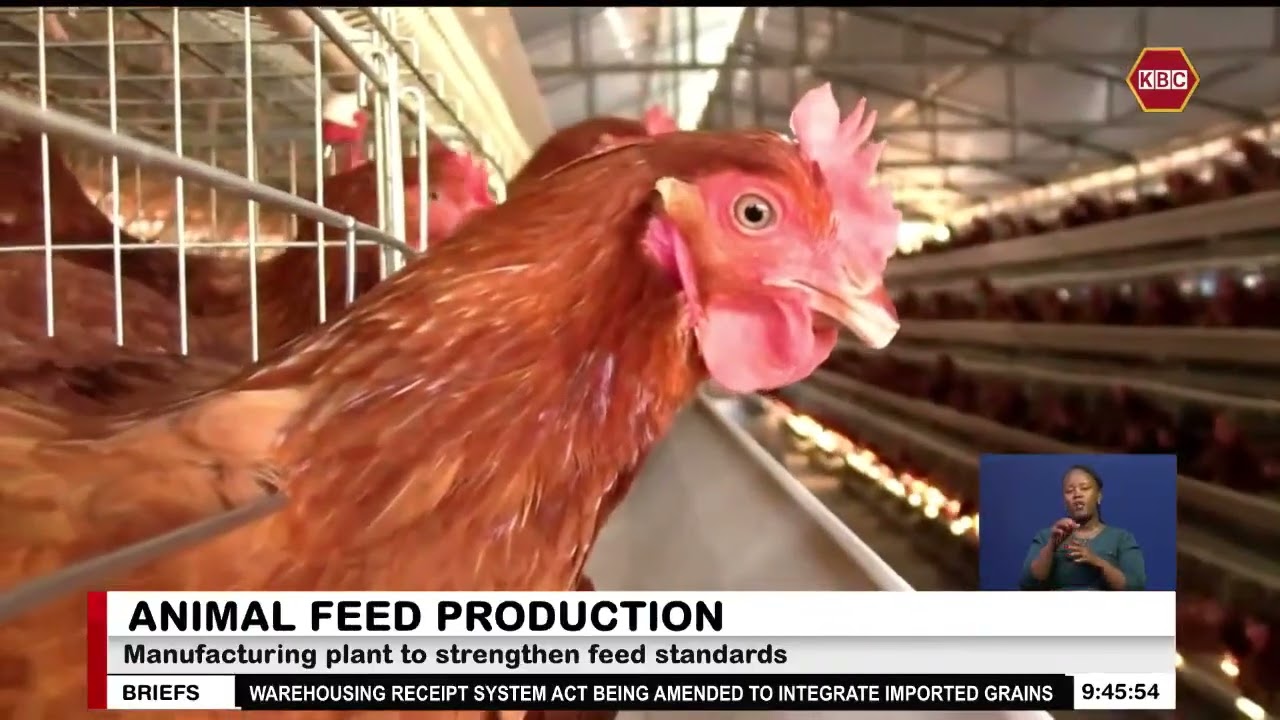 New Ksh3 billion animal feed manufacturing facility commissioned in Athi River