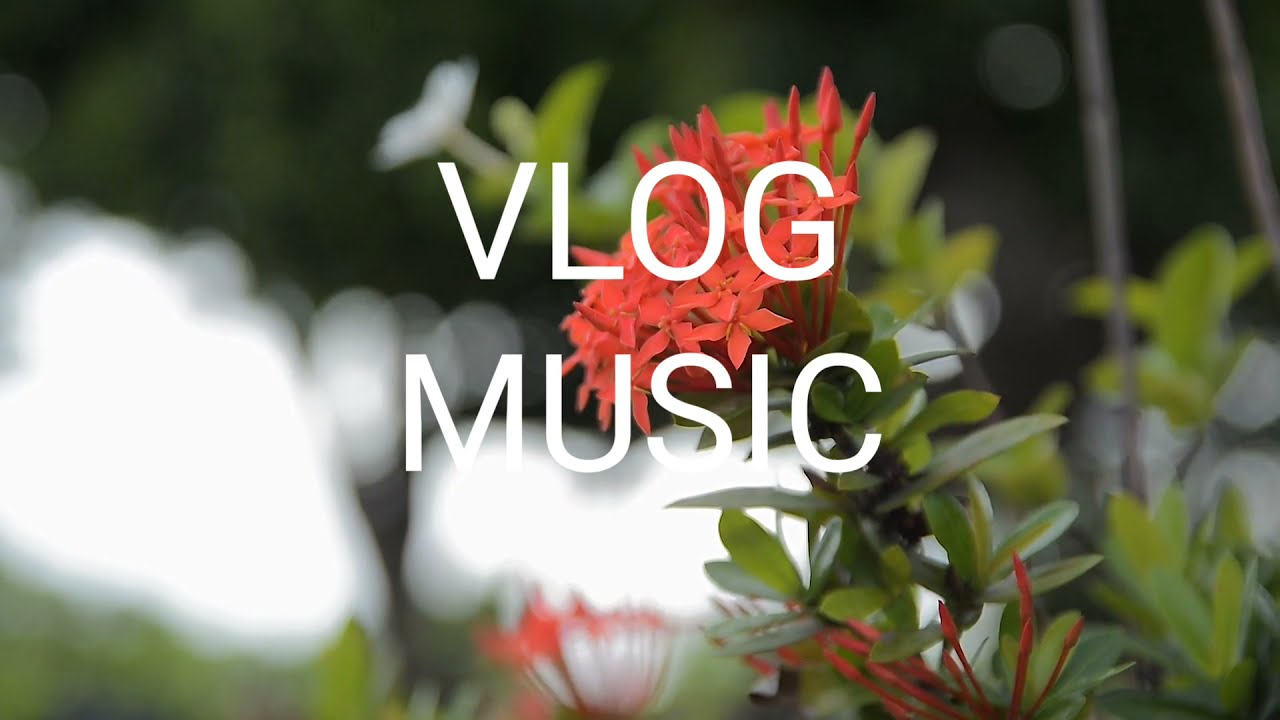 Justhea - Blue Sky | Vlog Music | Vlog Background Music