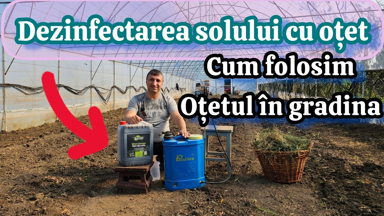 Dezinfectarea Naturală a Solului cu Oțet: Metoda BIO pentru o Grădină Sănătoasă!