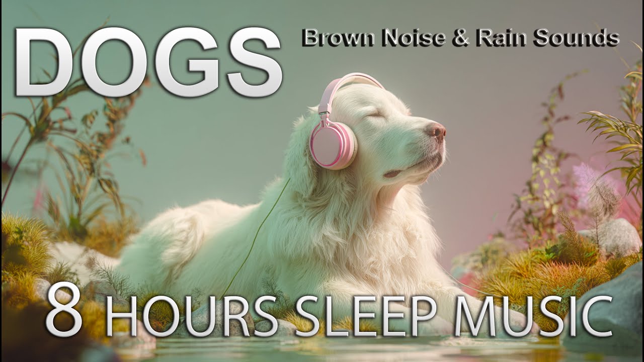 Calming Music for Dogs with Brown Noise | 8H Anti-Anxiety Sound Therapy