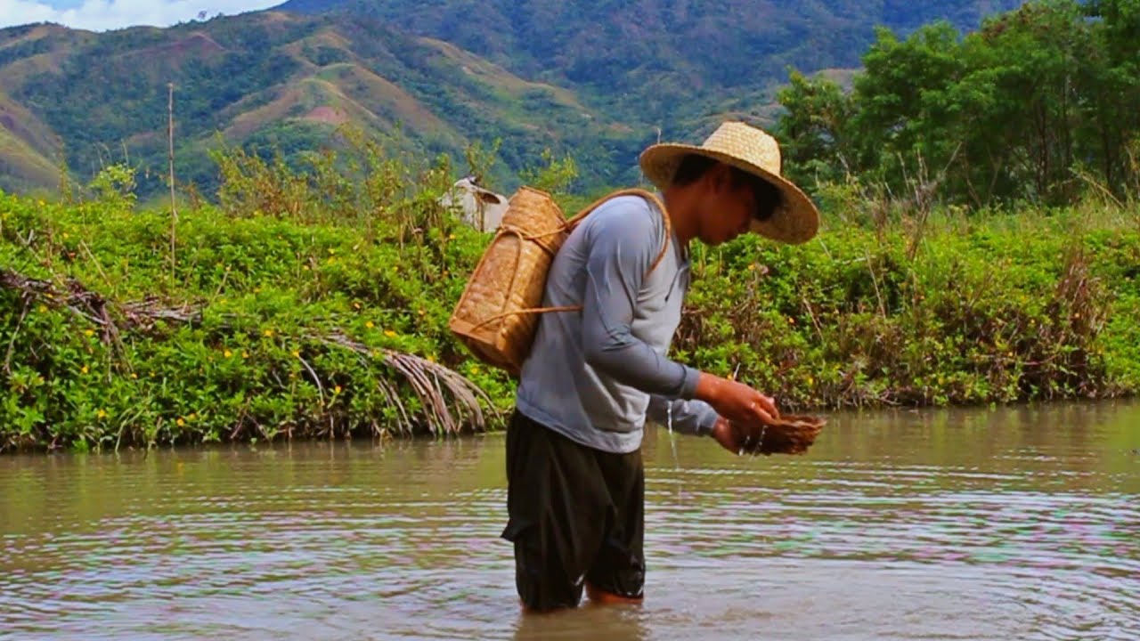 Tending my Vegetables Garden and Getting edible food in river food for my Family | Kabagis