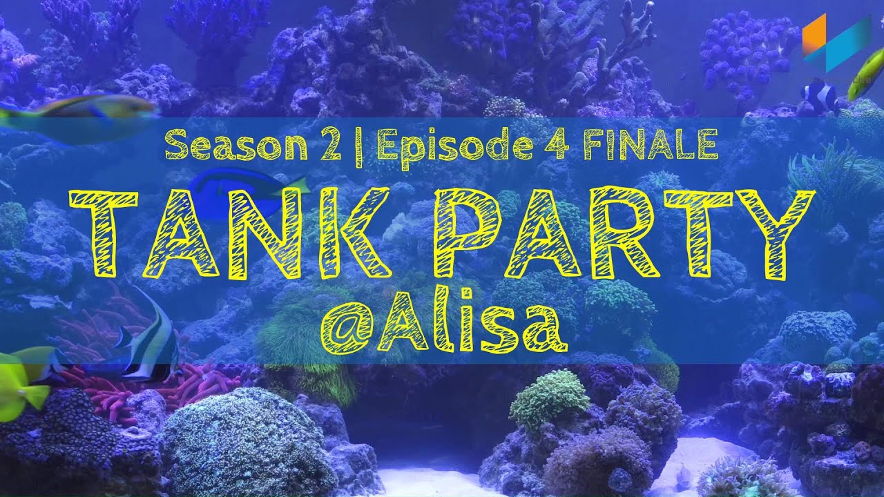 Season 2 Episode 4 FINALE: Alisa | TANK PARTY | Meerwasser Live TV
