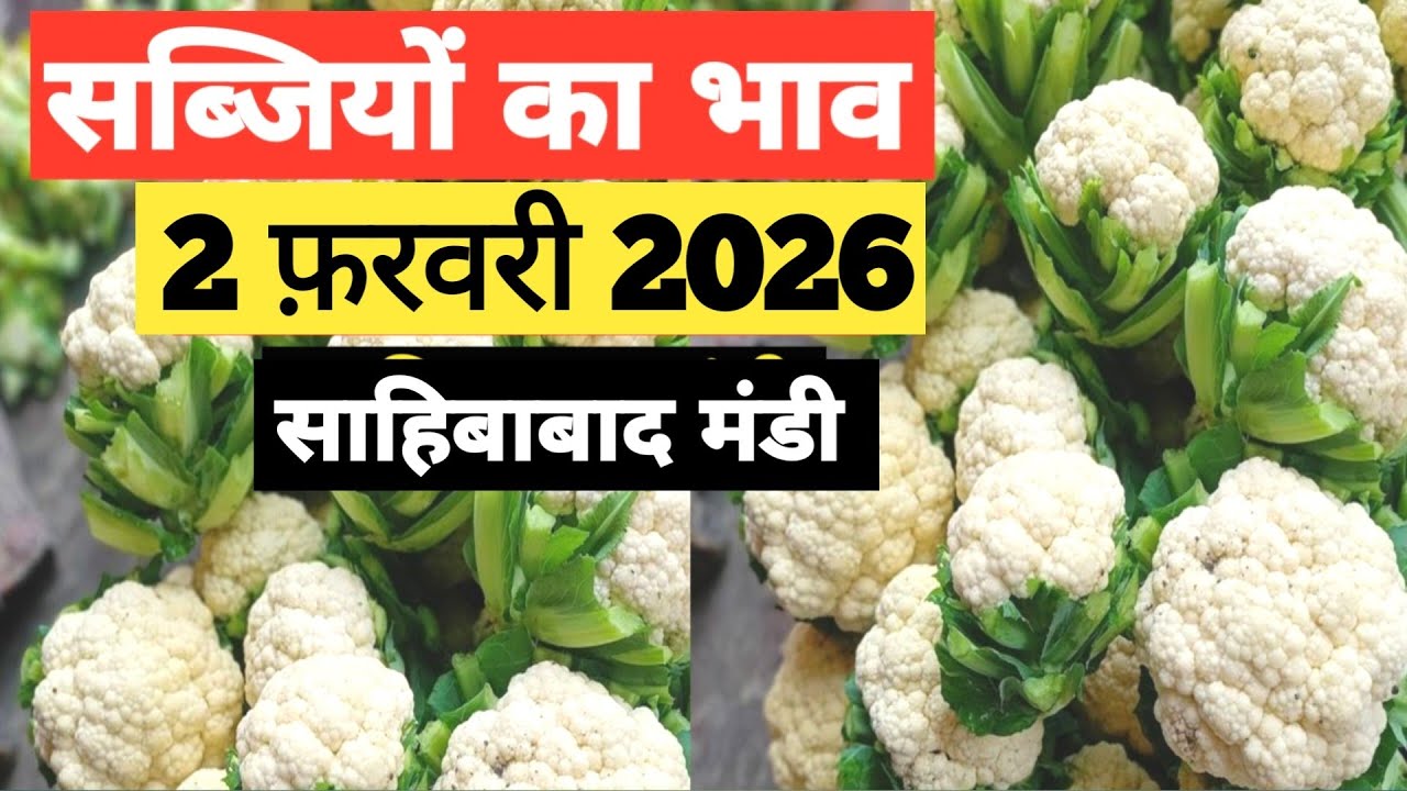 2 February 2026 🥬🫑 🥦 सब्जियों का भाव साहिबाबाद मंडी | today vegitables rates #mandirates 