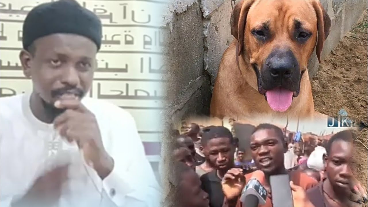 An ci naman kare yau a Kaduna- YAN TASHINE SUN HALATTA NAMAN KARE _SHEIKH BAFFA HOTORO.