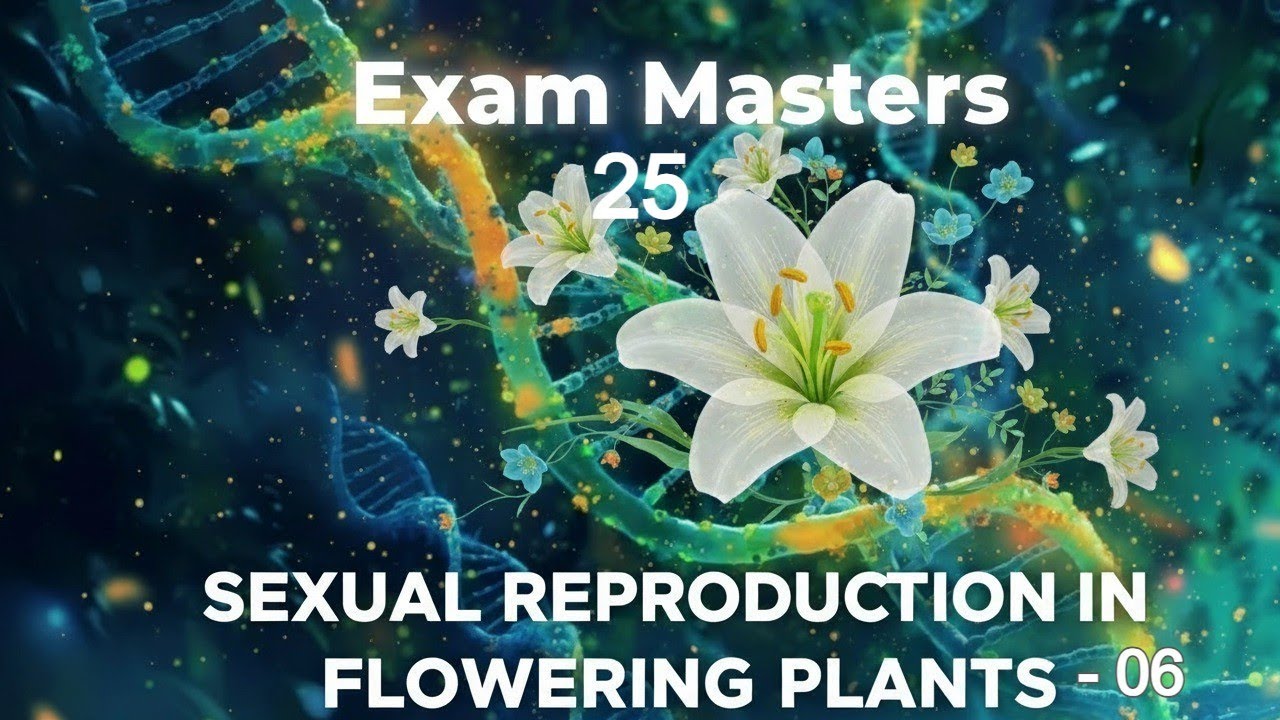 Sexual Reproduction in Flowering Plants (Megasporogenesis) - 06