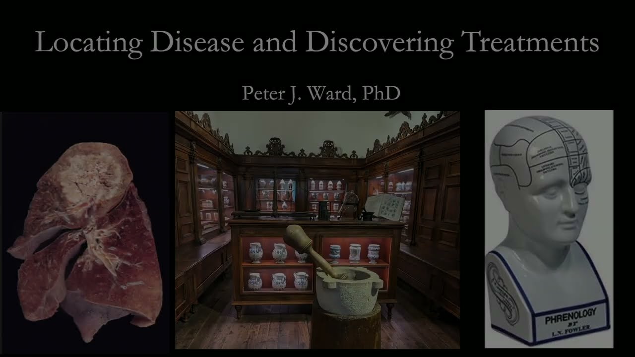 History of Medicine 2025 - Part 2