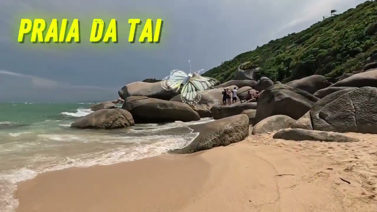 PRAIA DA TAINHA