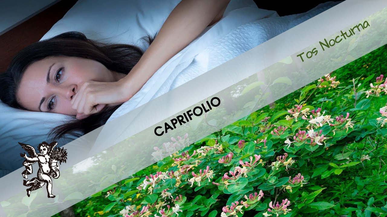 &iquest;TOSES mucho por la NOCHE ?  Cura de manera NATURAL estas MOLESTIAS