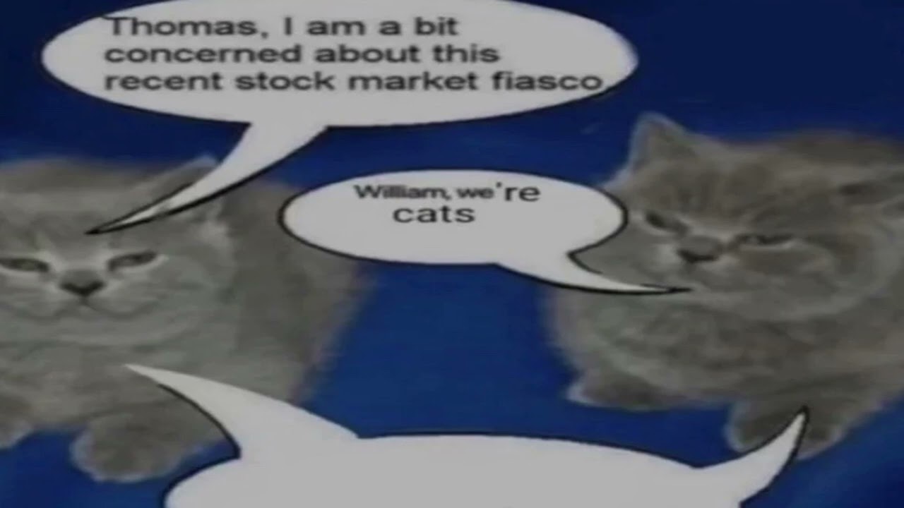 william, we're cats