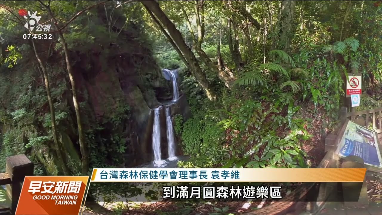 研究指出：森林浴提升免疫力 幫助情緒穩定｜20220602 公視早安新聞