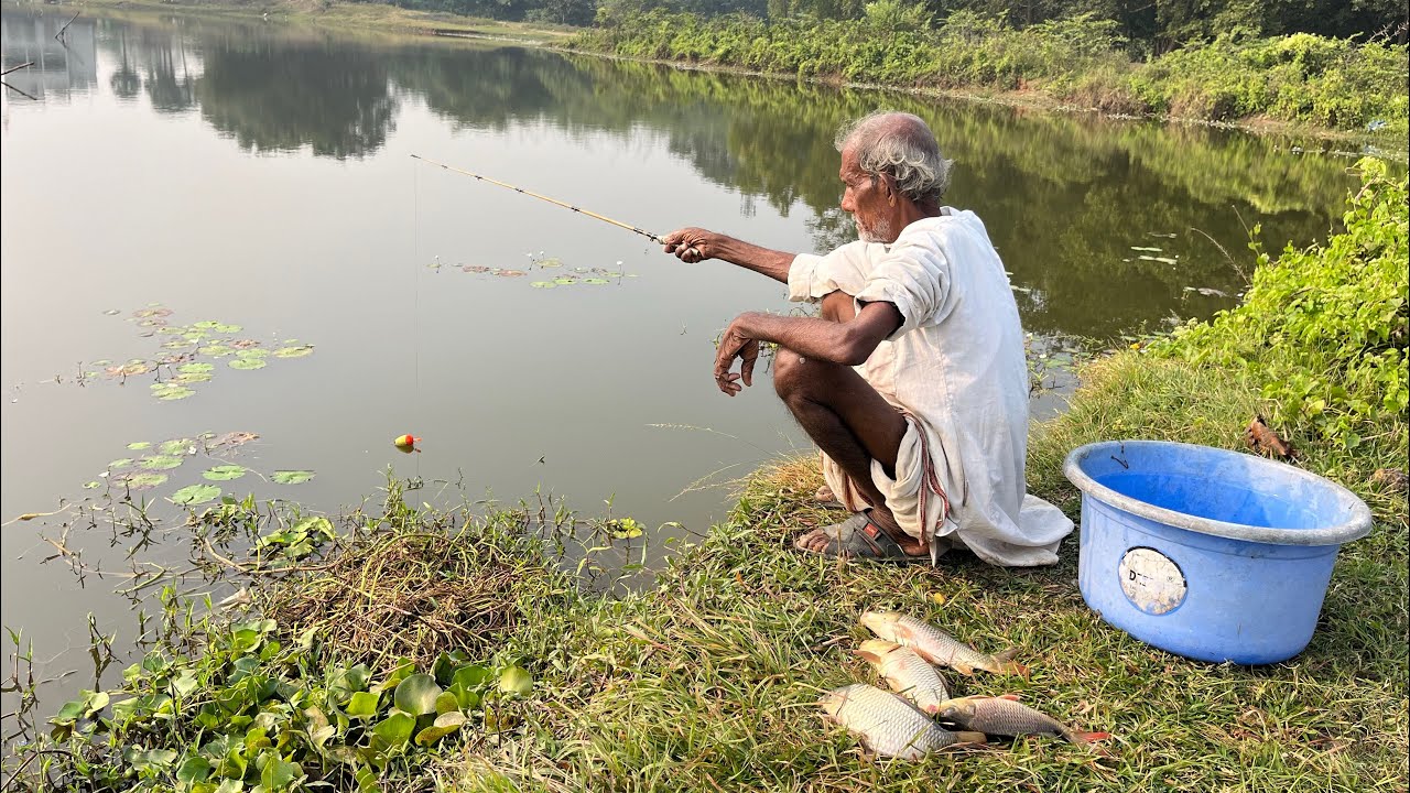 Fishing Video || Experienced old grandfather fishing in the village pond || Amazing hook fishing
