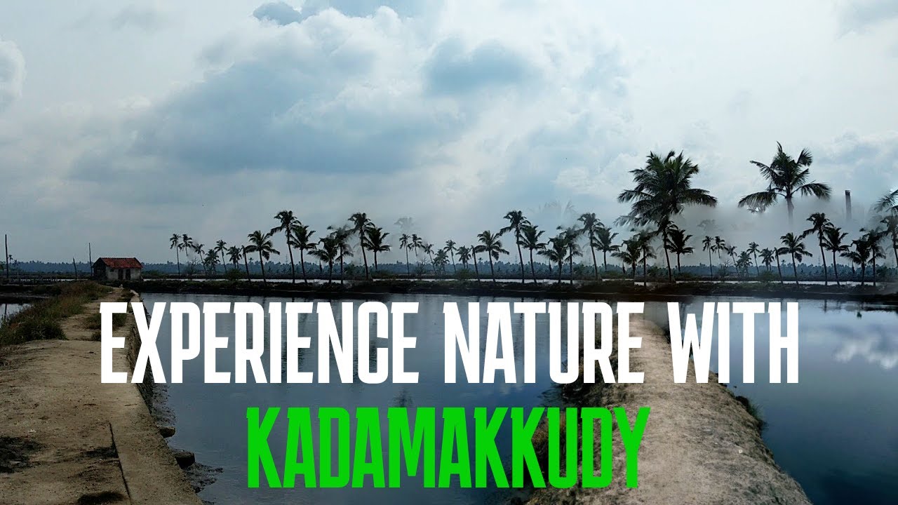 Discovering the Natural Beauty of Kadamakuddy: A Visual Journey