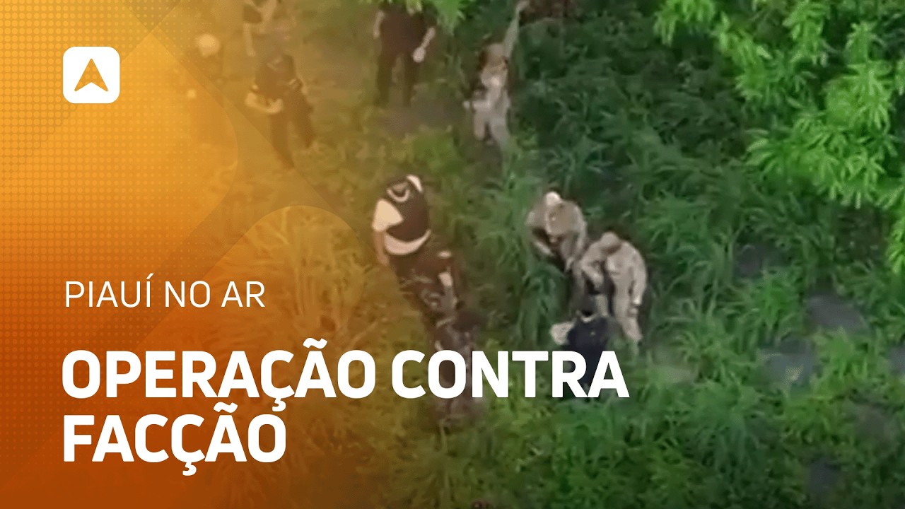 Operação combate organização criminosa em Teresina e Nazária