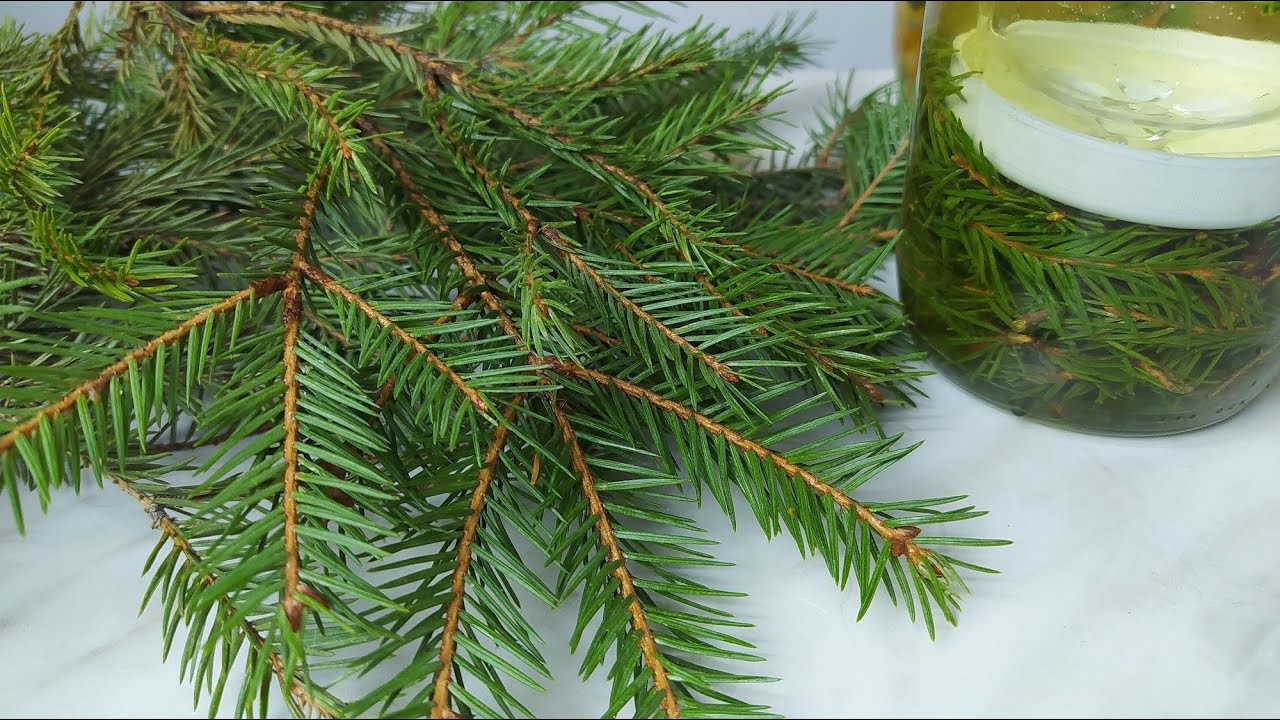 Хвойный уксус для уборки