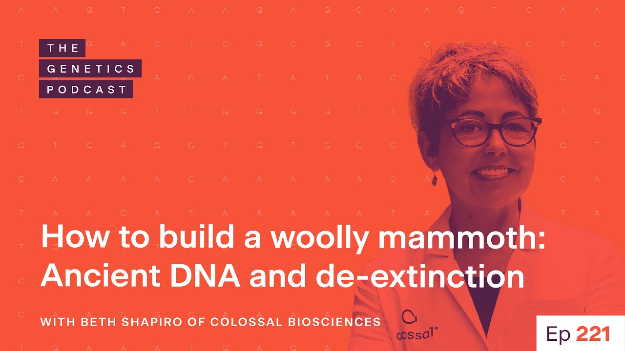 EP 221: How to build a woolly mammoth with Beth Shapiro of Colossal Biosciences