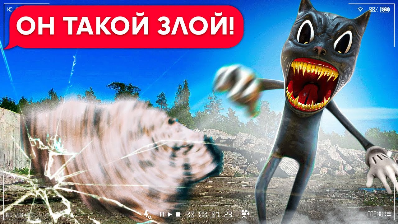 БОМЖ ВАСЯ ПРОТИВ КАРТУН КЭТА! НОВАЯ БИТВА! (1 часть переписки)