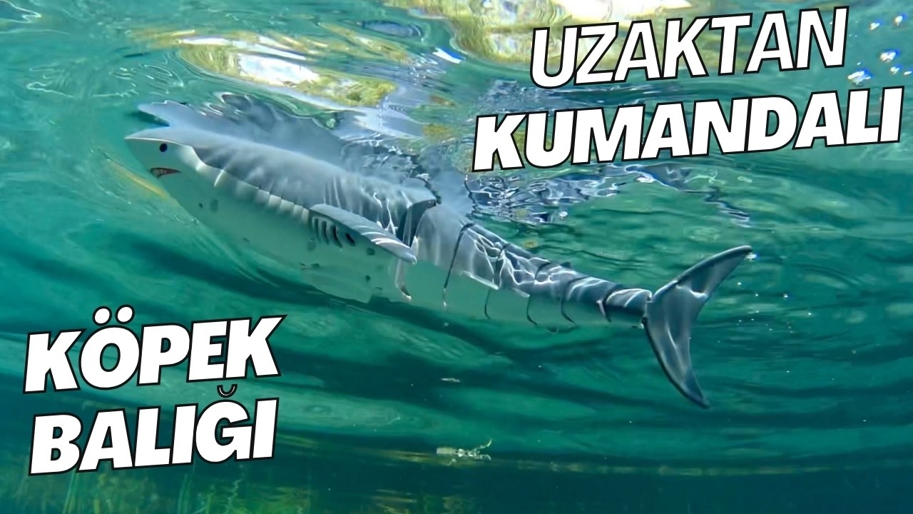 Uzaktan Kumandalı Rc Köpek Balığı Kutu açılılışı ve Kullanımı
