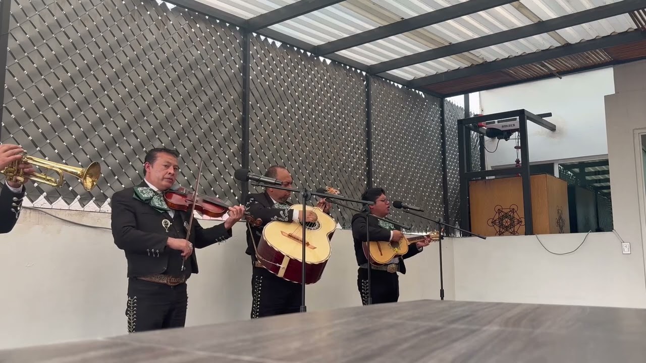 Si nos dejan… Mariachi La Estrella de Jalisco