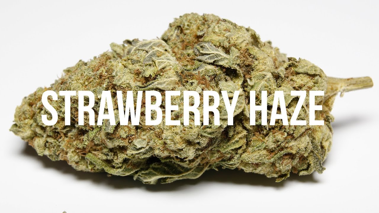 Strawberry Haze: Cannabis Strain Review