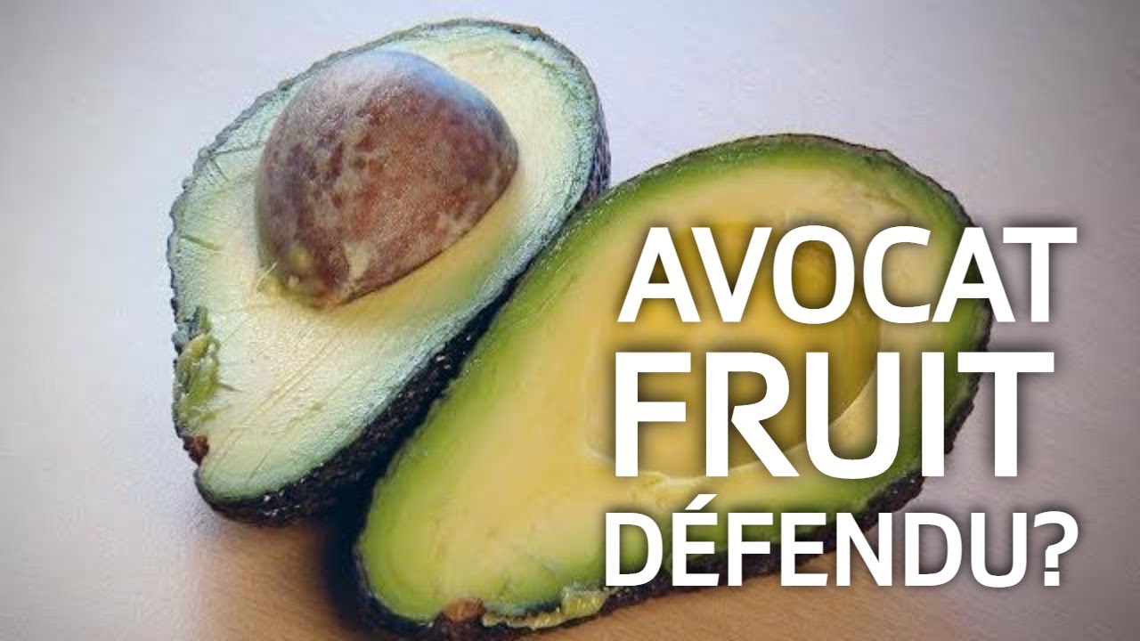 L'avocat, fruit de trop de passion | ABE