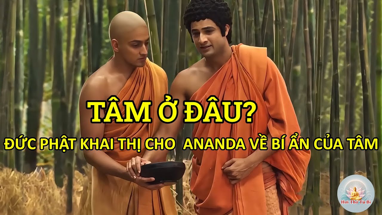 TÂM Ở ĐÂU? – ĐỨC PHẬT KHAI THỊ CHO  ANANDA VỀ BÍ ẨN CỦA TÂM | TRÍ TUỆ PHẬT GIÁO