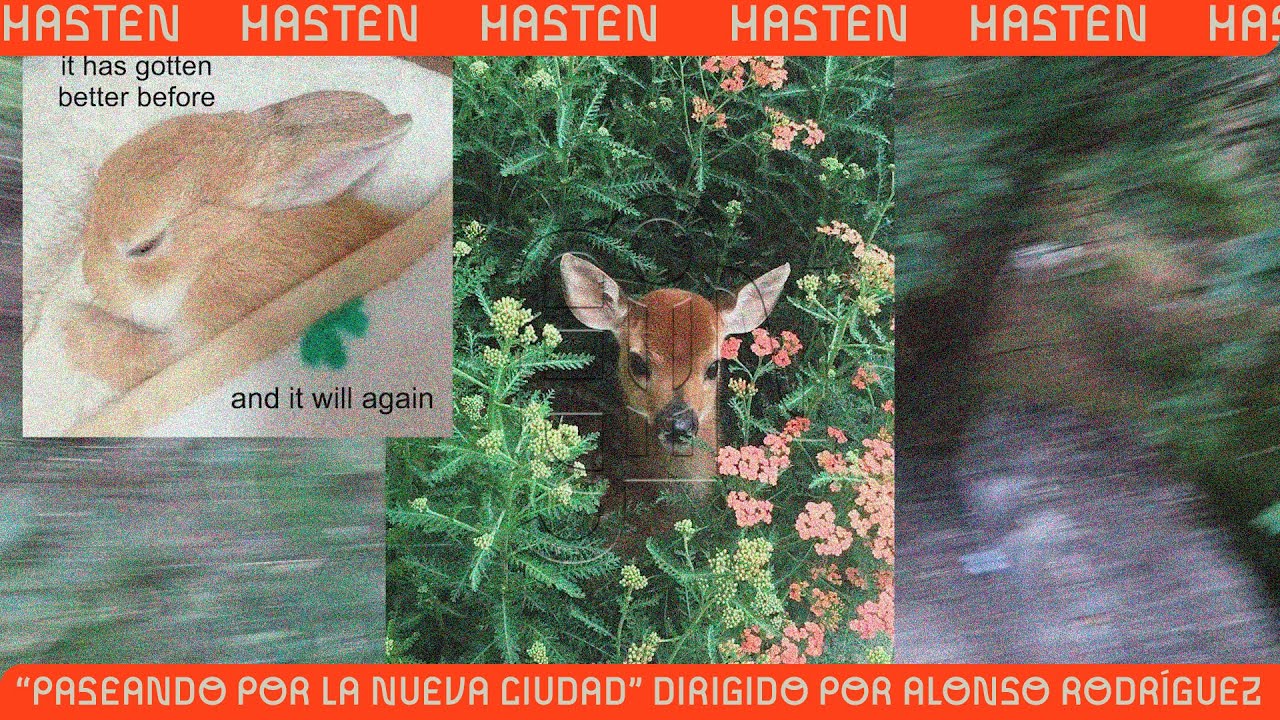 HASTEN: Buenas Noches | 