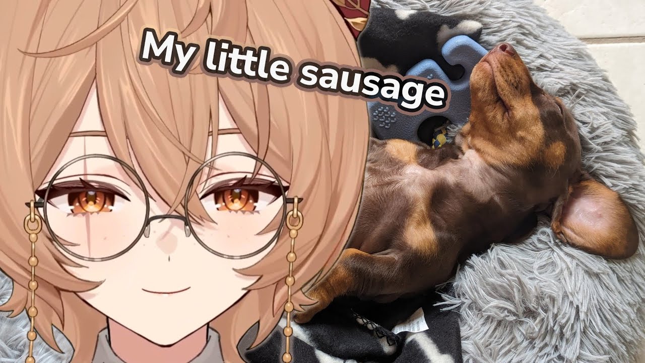 Clio's Silly Little Sausage Lotte (Phase Connect)