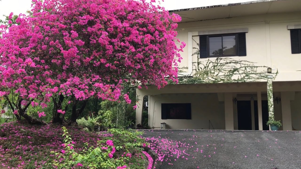 Upper West Kalayaan, Subic Bay, Philippines