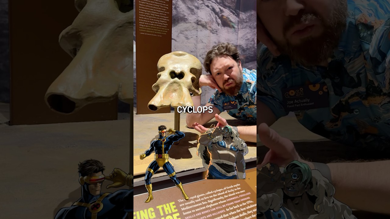 A Cyclops Fossil?! 👁️🙅&zwj;♂️