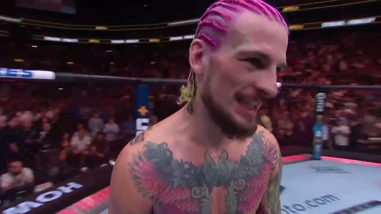 UFC 292 : Le KO de Sean O'Malley