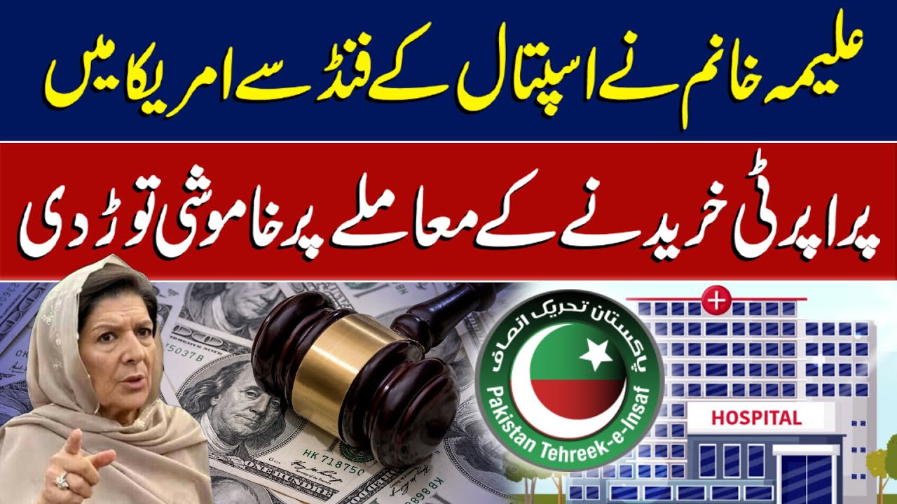 Aleema Khan breaks silence on buying property in the USA with hospital funds I Daily Mumtaz