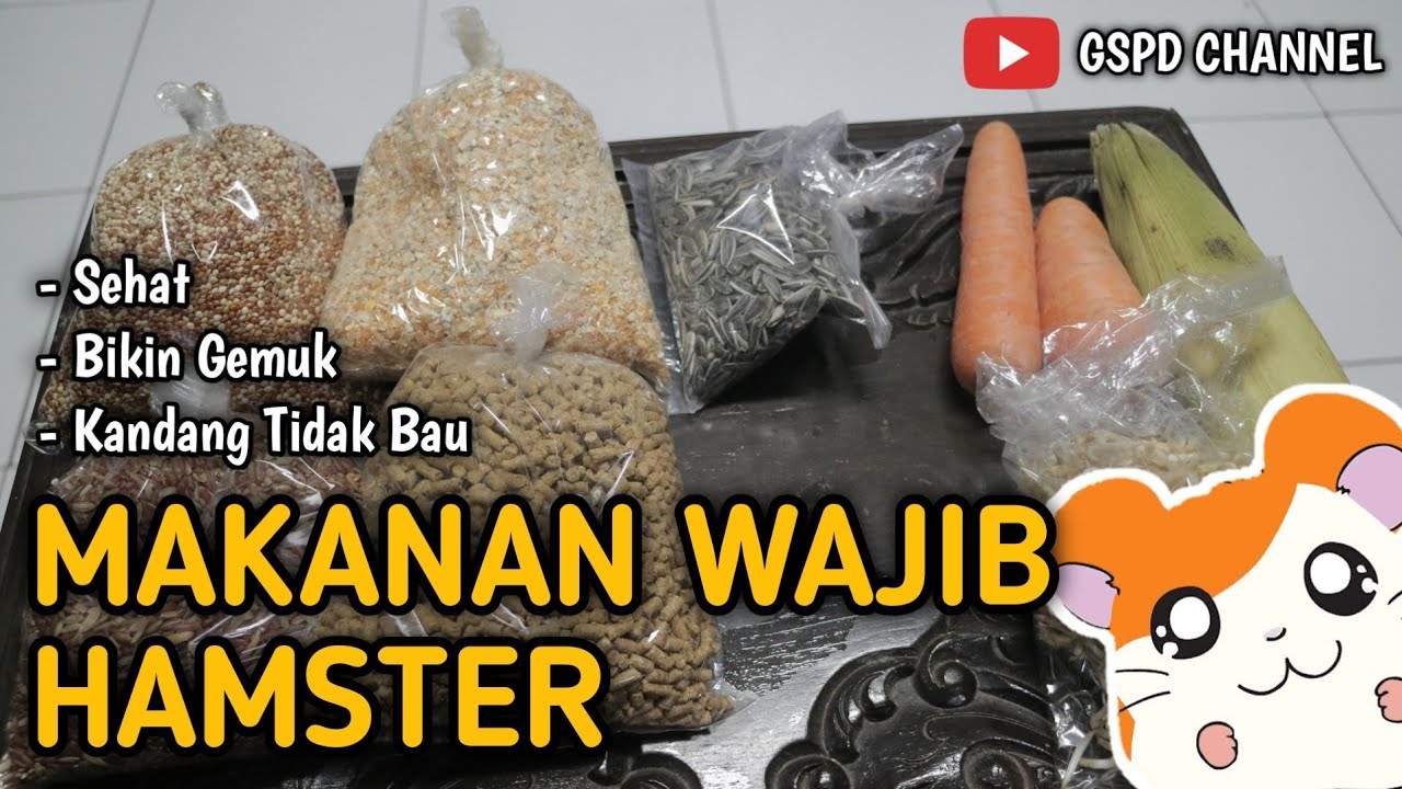CARA MERACIK MAKANAN HAMSTER. || PAKAN WAJIB HAMSTER