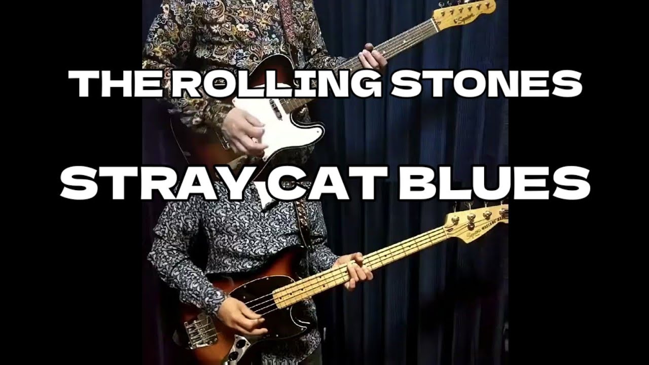 Stray Cat Blues - the rolling stones   cover