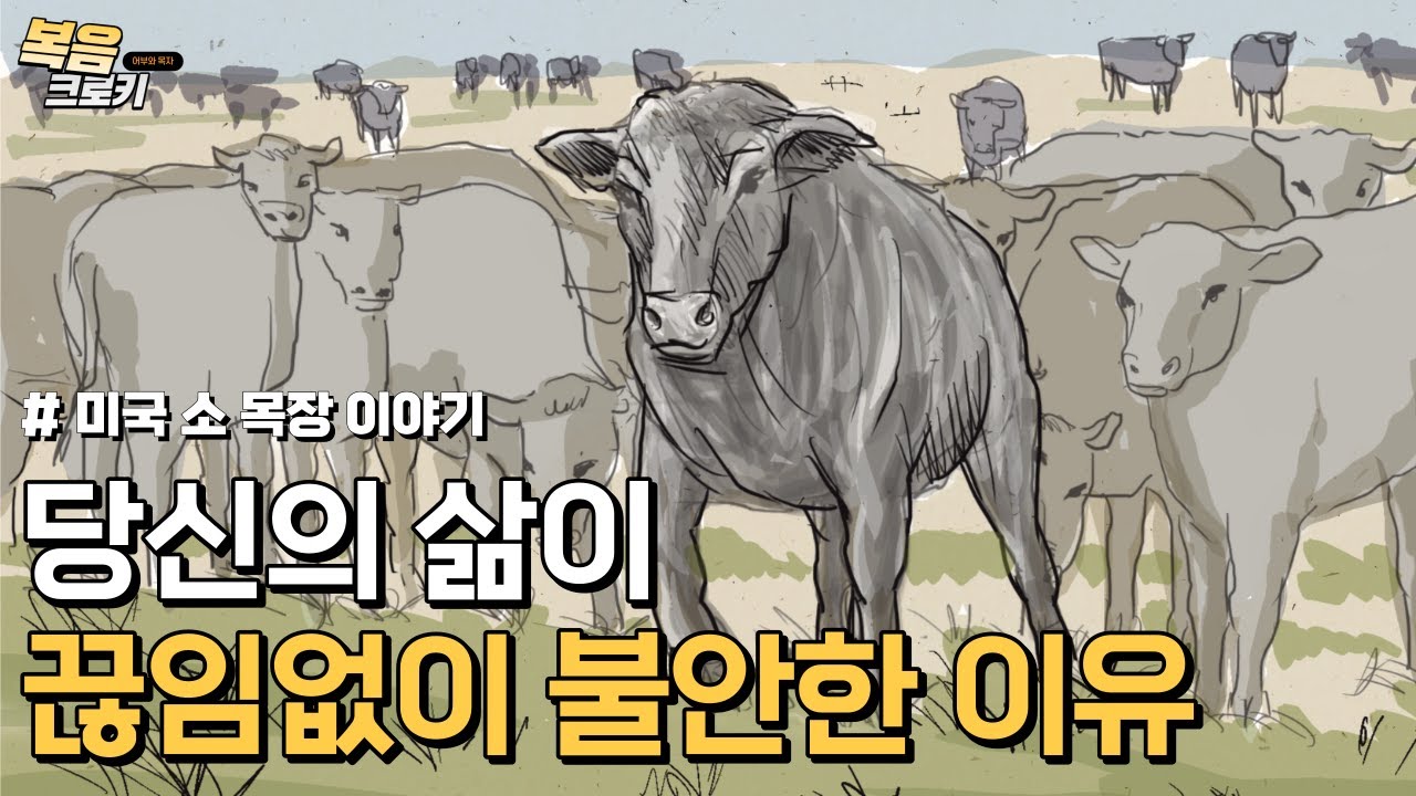 당신의 불안감을 해결할 길을 말해드립니다!