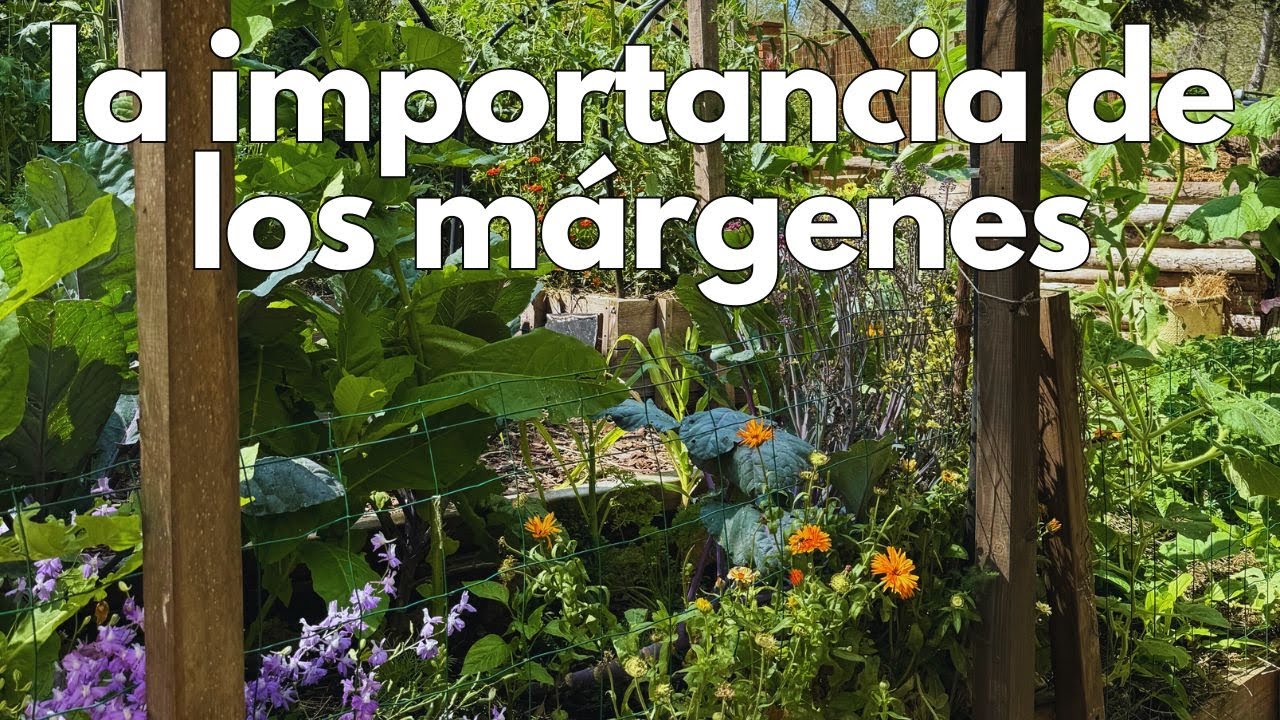 Mejorar tu huerto con buenos márgenes (trucos)🌺